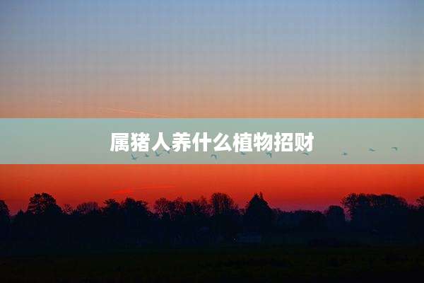 属猪人养什么植物招财
