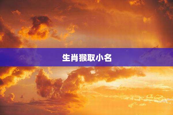 生肖猴取小名