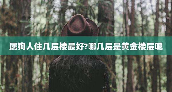 属狗人住几层楼最好?哪几层是黄金楼层呢