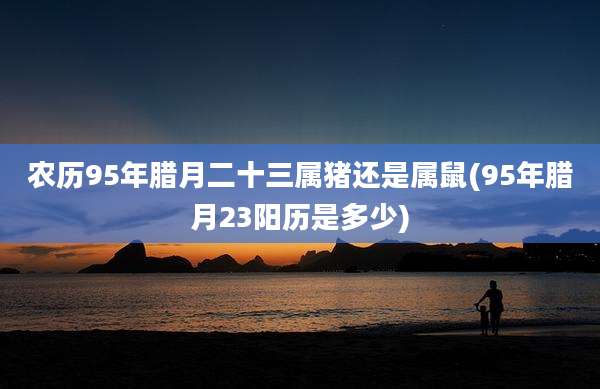 农历95年腊月二十三属猪还是属鼠(95年腊月23阳历是多少)