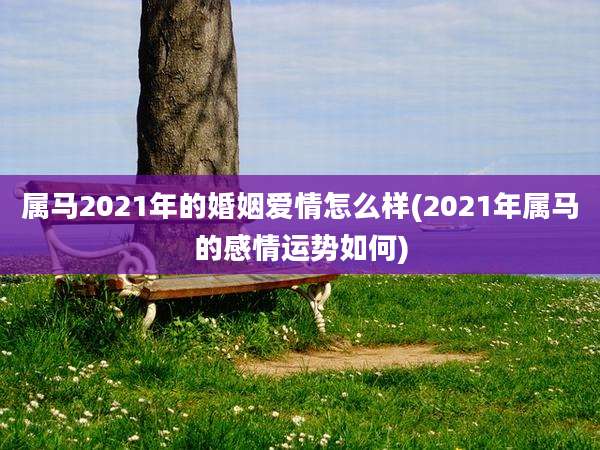 属马2021年的婚姻爱情怎么样(2021年属马的感情运势如何)