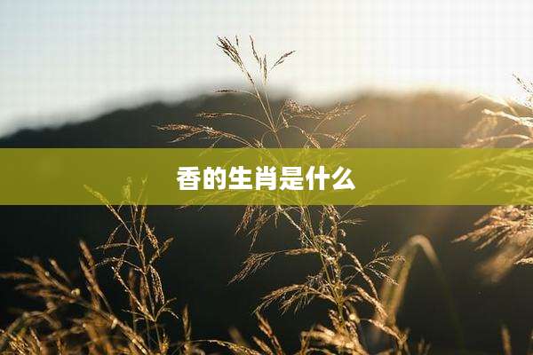 香的生肖是什么