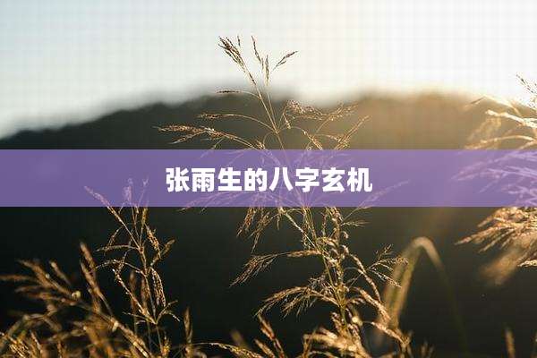 张雨生的八字玄机