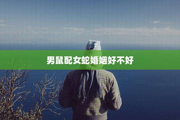 男鼠配女蛇婚姻好不好