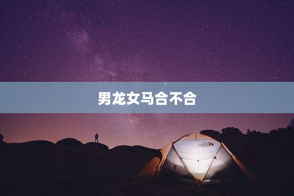 男龙女马合不合