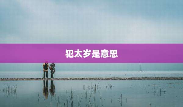 犯太岁是意思