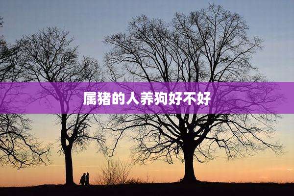 属猪的人养狗好不好