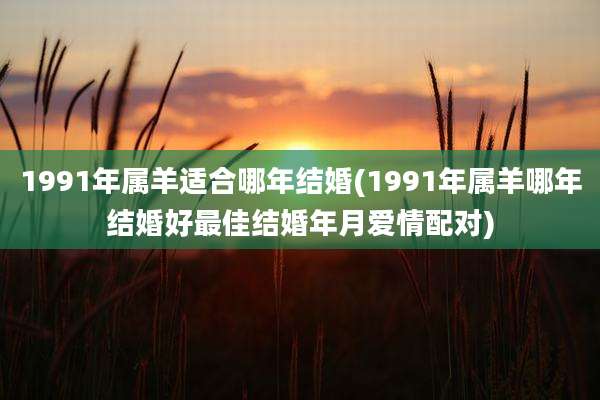 1991年属羊适合哪年结婚(1991年属羊哪年结婚好最佳结婚年月爱情配对)
