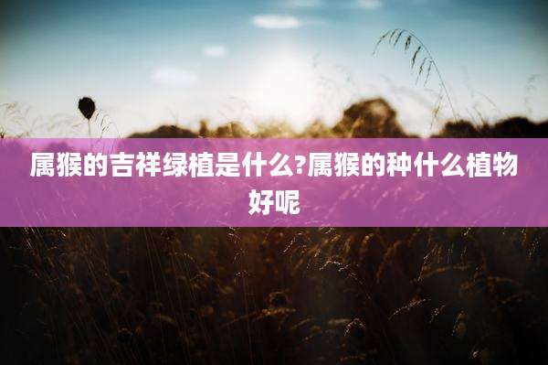 属猴的吉祥绿植是什么?属猴的种什么植物好呢