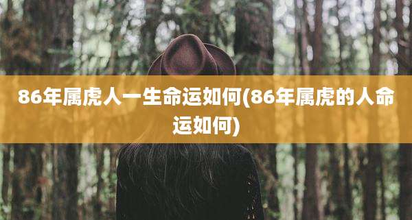86年属虎人一生命运如何(86年属虎的人命运如何)