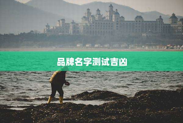 品牌名字测试吉凶