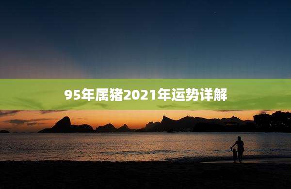 95年属猪2021年运势详解