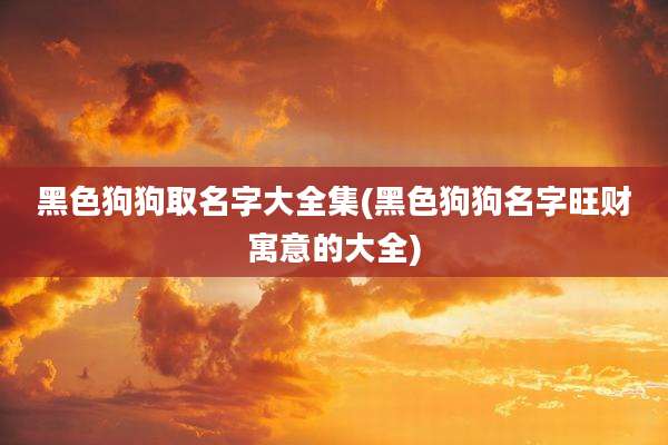 黑色狗狗取名字大全集(黑色狗狗名字旺财寓意的大全)