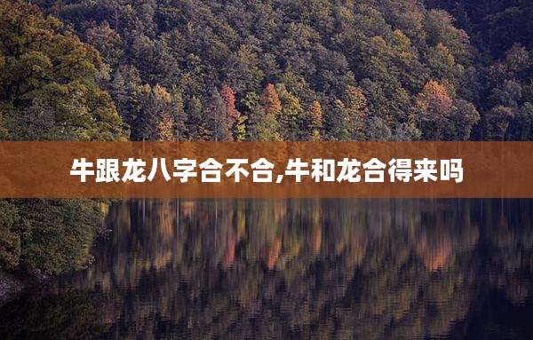 牛跟龙八字合不合,牛和龙合得来吗
