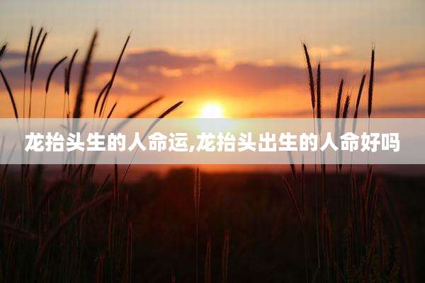 龙抬头生的人命运,龙抬头出生的人命好吗