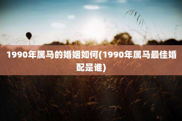 1990年属马的婚姻如何(1990年属马最佳婚配是谁)