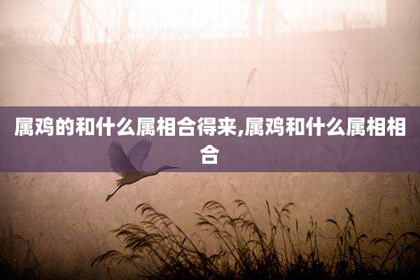 属鸡的和什么属相合得来,属鸡和什么属相相合