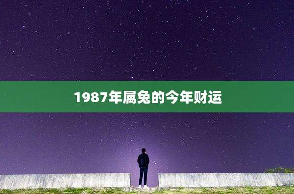 1987年属兔的今年财运