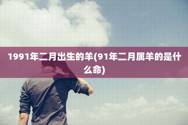 1991年二月出生的羊(91年二月属羊的是什么命)