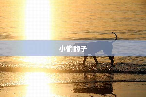 小偷的子