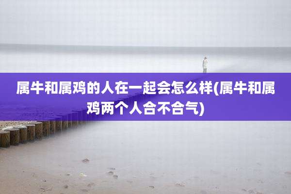 属牛和属鸡的人在一起会怎么样(属牛和属鸡两个人合不合气)