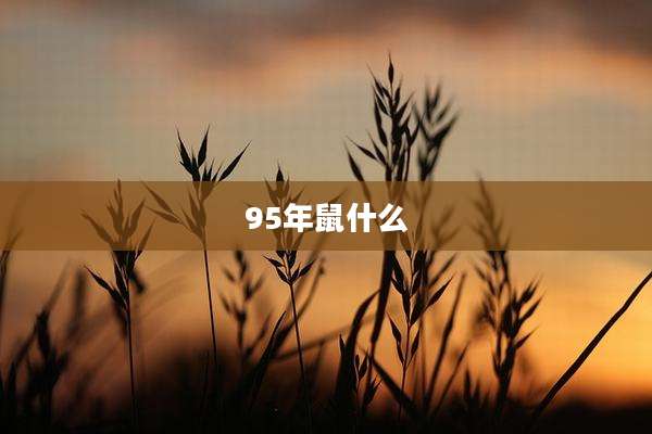 95年鼠什么