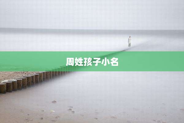 周姓孩子小名