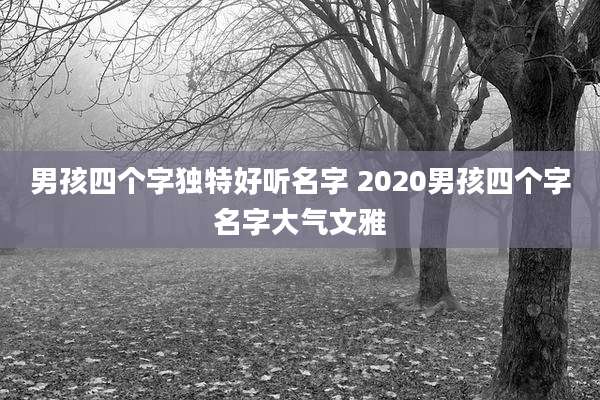 男孩四个字独特好听名字 2020男孩四个字名字大气文雅