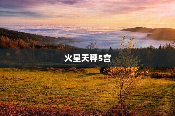 火星天秤5宫