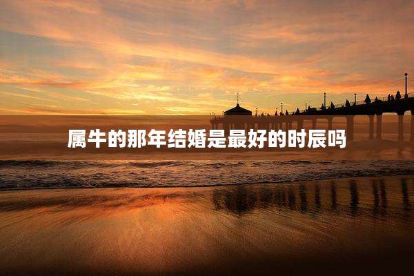 属牛的那年结婚是最好的时辰吗