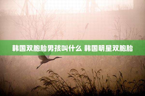 韩国双胞胎男孩叫什么 韩国明星双胞胎
