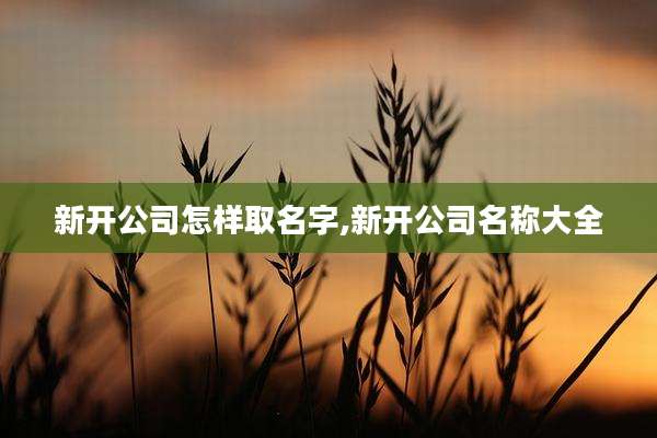 新开公司怎样取名字,新开公司名称大全