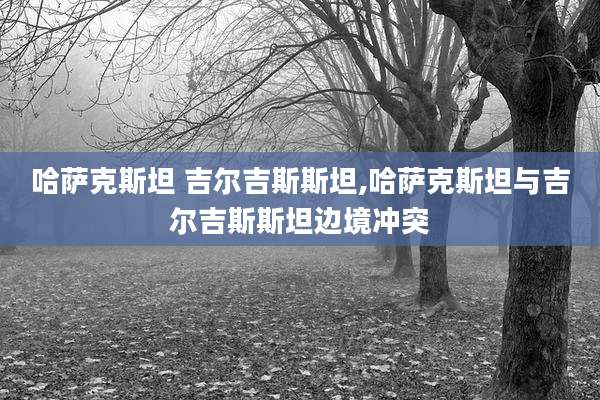 哈萨克斯坦 吉尔吉斯斯坦,哈萨克斯坦与吉尔吉斯斯坦边境冲突