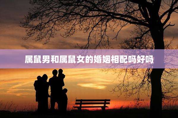 属鼠男和属鼠女的婚姻相配吗好吗