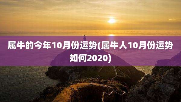 属牛的今年10月份运势(属牛人10月份运势如何2020)