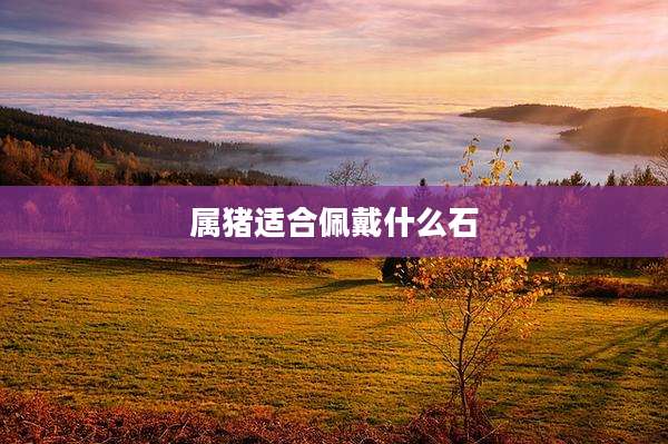 属猪适合佩戴什么石