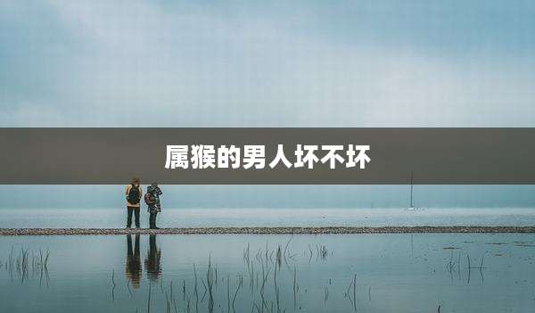 属猴的男人坏不坏
