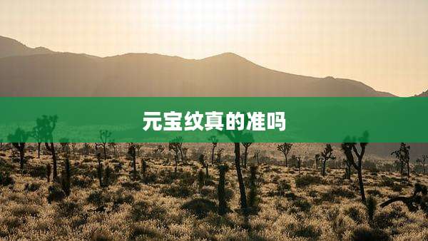 元宝纹真的准吗