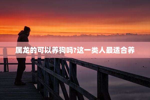 属龙的可以养狗吗?这一类人最适合养