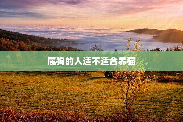 属狗的人适不适合养猫