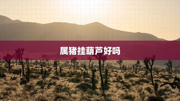 属猪挂葫芦好吗