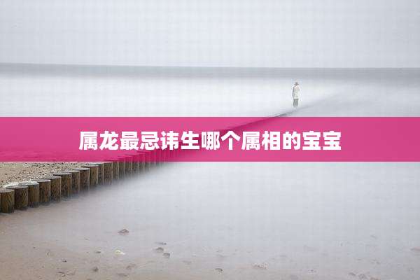 属龙最忌讳生哪个属相的宝宝