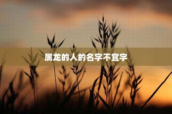 属龙的人的名字不宜字