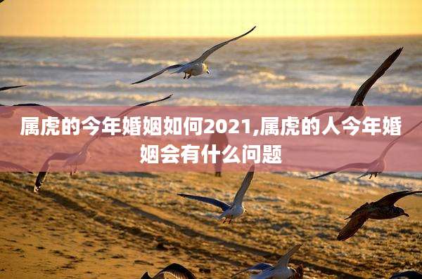 属虎的今年婚姻如何2021,属虎的人今年婚姻会有什么问题