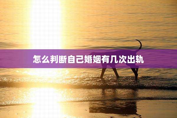 怎么判断自己婚姻有几次出轨