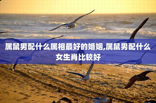 属鼠男配什么属相最好的婚姻,属鼠男配什么女生肖比较好