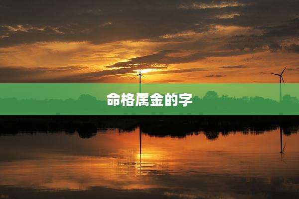 命格属金的字