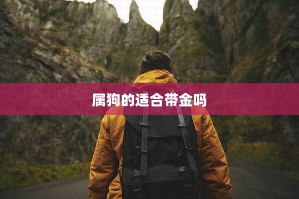 属狗的适合带金吗