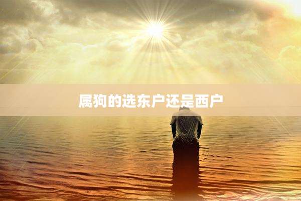属狗的选东户还是西户