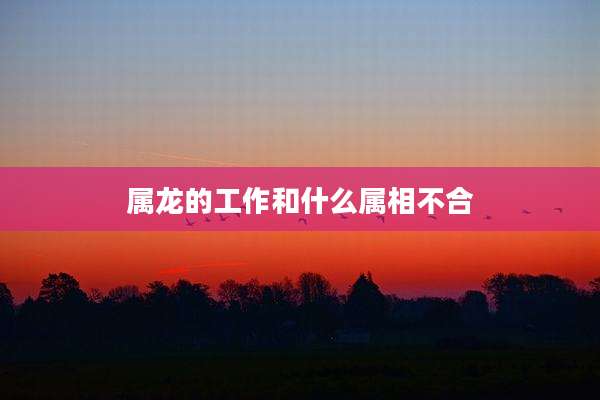 属龙的工作和什么属相不合